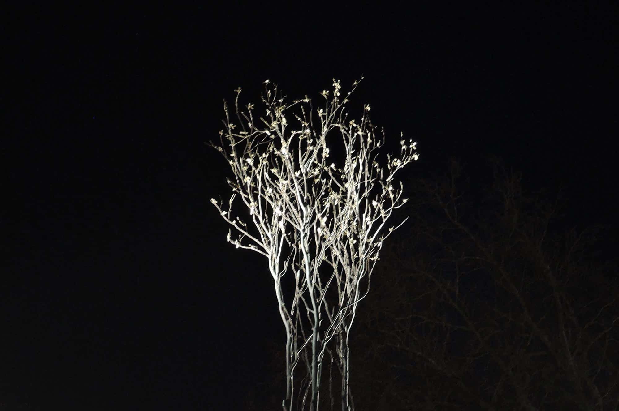 Éric Fonteneau, Un arbre-La forêt